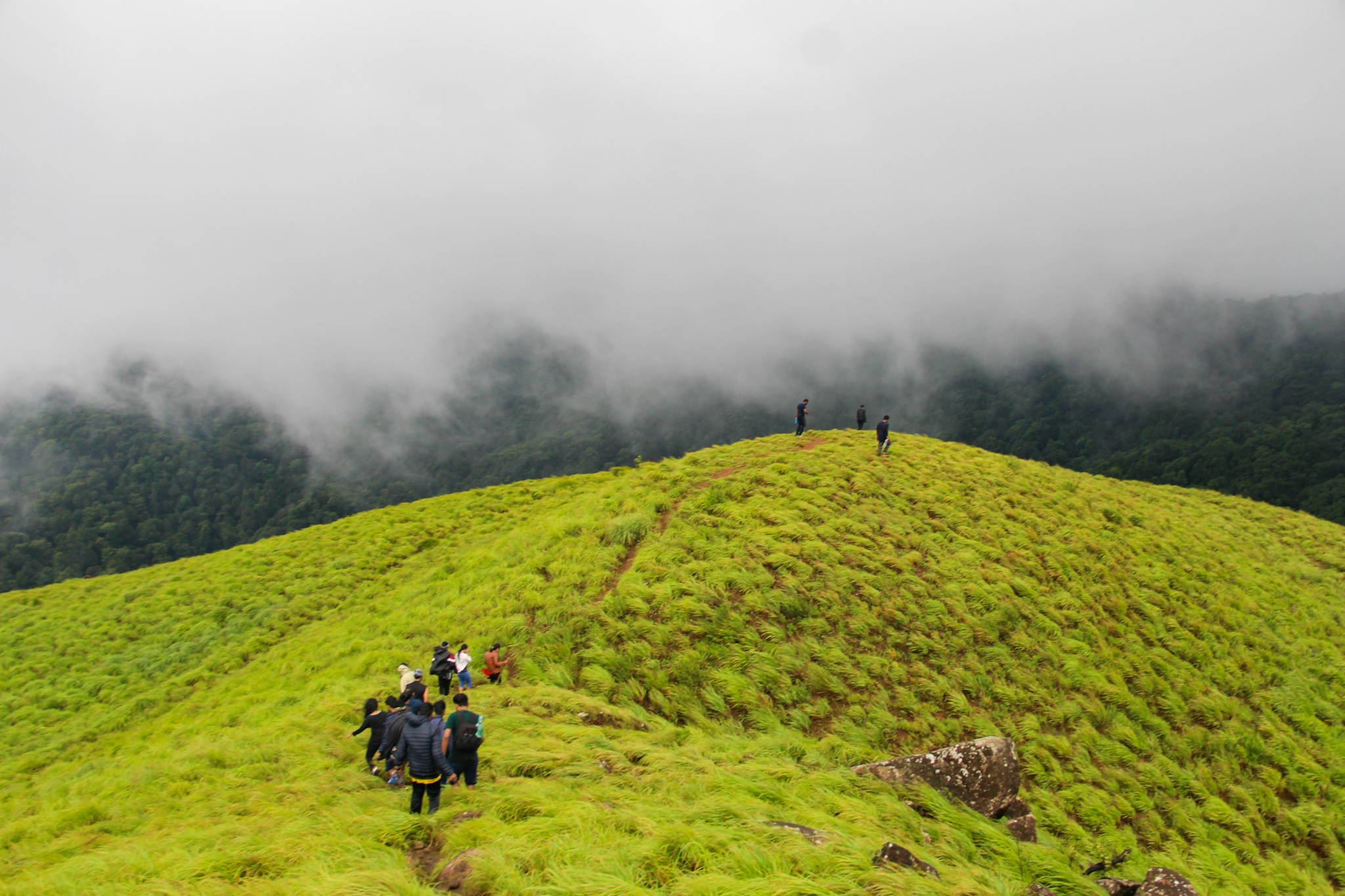 Lakeside Camp - Munnar